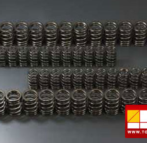 Toda Racing Valve Springs Set