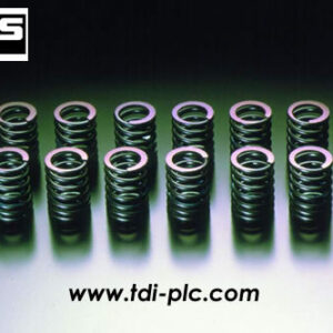 HKS Valve Spring Kit STEP 2