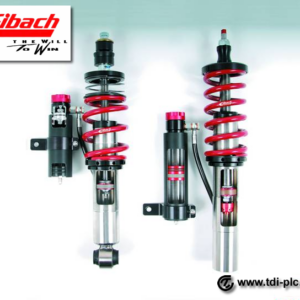 Eibach Multi Pro R2