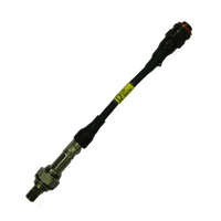 O2 Sensor (wideband)