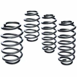 eibach pro kit springs