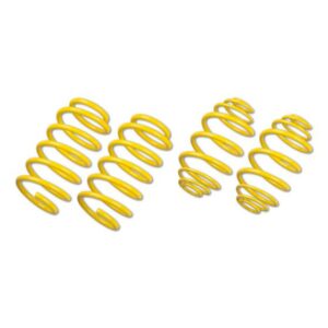 Tesla Model 3 KW Sport Springs